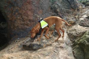 2018 Ausbildungswoche Arber